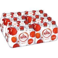 Spa Rood 24X330ml